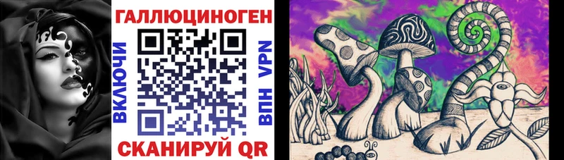 Купить где  Очёр  Псилоцибиновые грибы MAGIC MUSHROOMS 